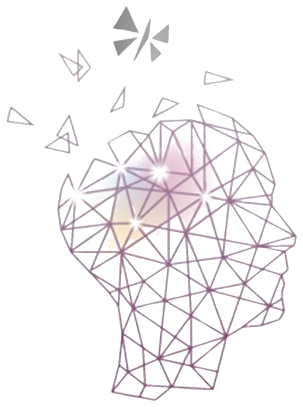 BrainOptima